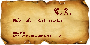 Máté Kalliszta névjegykártya