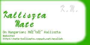 kalliszta mate business card